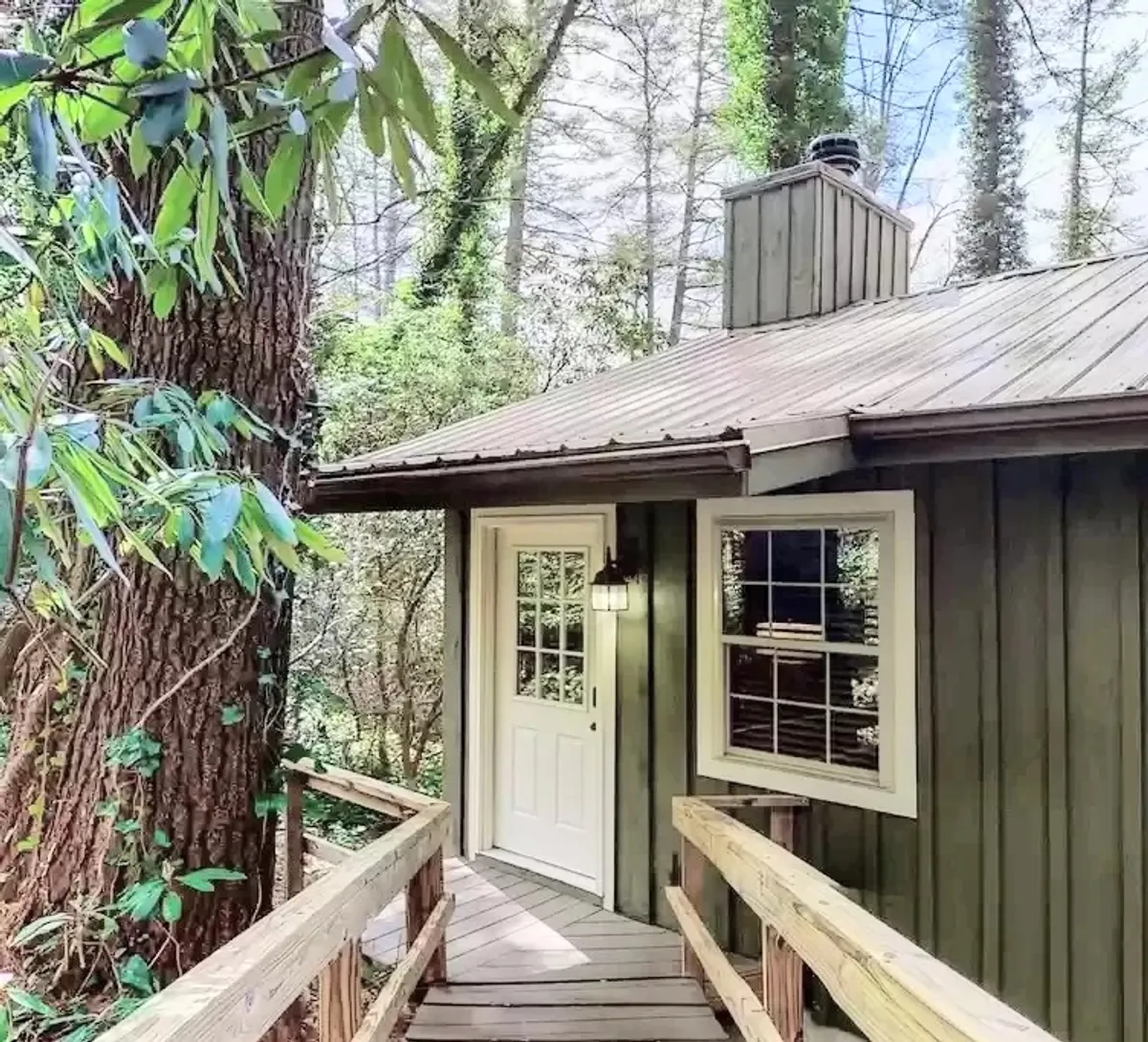 This image captures the front door of the property framed by a wooden walkway, tall trees, and lush shrubbery. The tranquil setting and inviting entryway suggest a peaceful retreat nestled in nature, with filtered sunlight hinting at serene mornings and the calming environment surrounding the home.