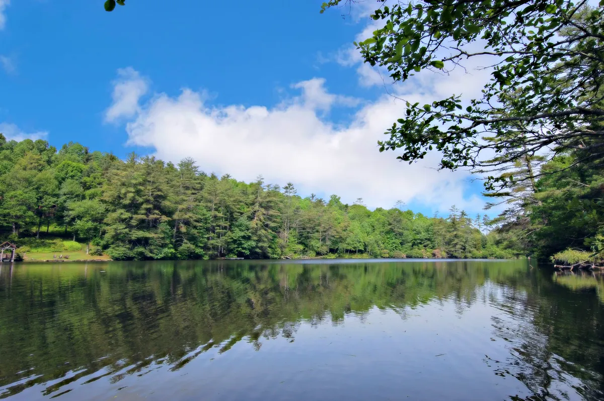 A serene lake scene framed by lush greenery and a calm, glassy surface beneath a cloudy sky. The tranquil water offers a sense of peace and reflection, inviting activities like kayaking, fishing, or simply enjoying quiet moments by the shore.