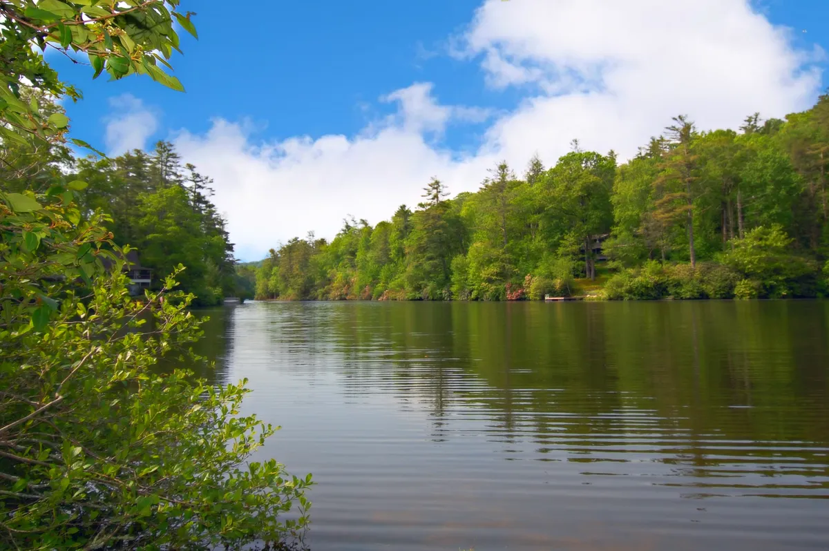 This image captures the calm, glassy surface of the lake surrounded by lush greenery and a clear blue sky. The serene mood and natural beauty invite thoughts of kayaking, wildlife watching, and peaceful mornings by the water.
