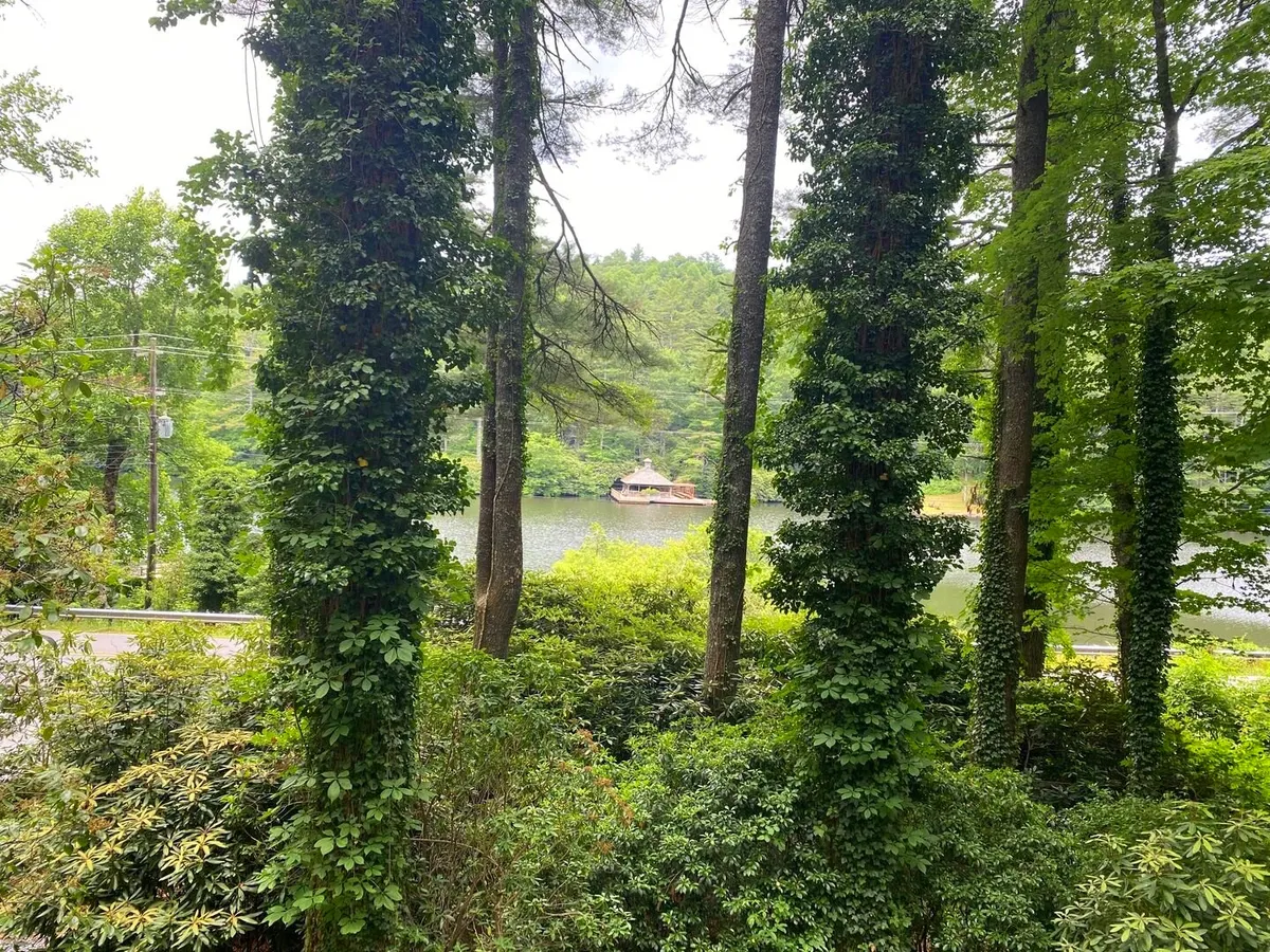 The view image features lush greenery and a calm lake, with the distant outline of a cabin adding to the secluded feel. The peaceful lakeside setting is ideal for watching sunrises or sunsets together, birdwatching, or simply soaking in the tranquil environment.